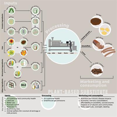 Considering Plant-Based Meat Substitutes and Cell-Based Meats: A Public Health and Food Systems Perspective